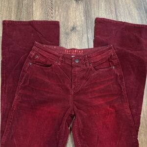 Idyllwind Burgundy Corduroy Flare Pants